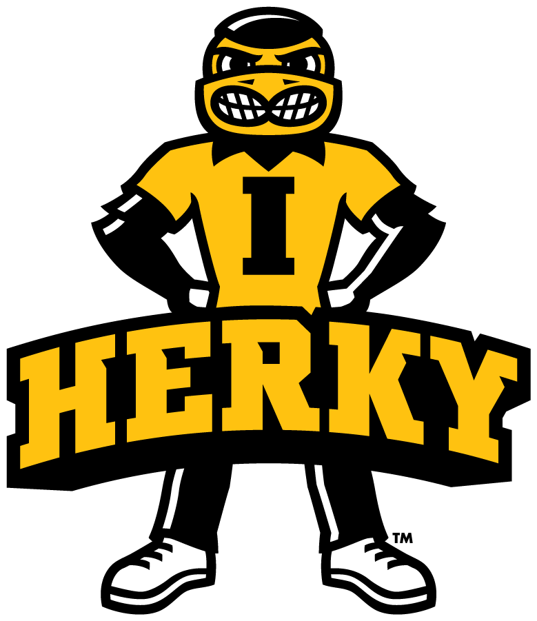 Iowa Hawkeyes 2013-Pres Mascot Logo DIY iron on transfer (heat transfer)